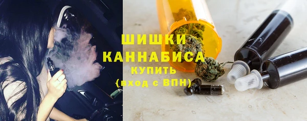 сатива Арсеньев