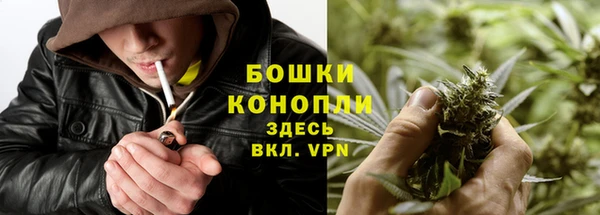 сатива Арсеньев