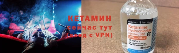 хмурый Аркадак