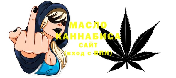 хмурый Аркадак