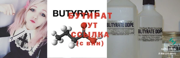 хмурый Аркадак