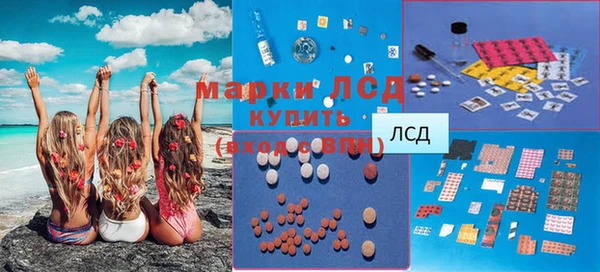 хмурый Аркадак