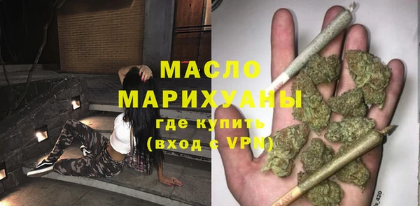 хмурый Аркадак