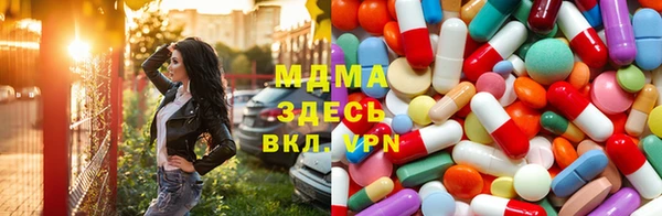 хмурый Аркадак