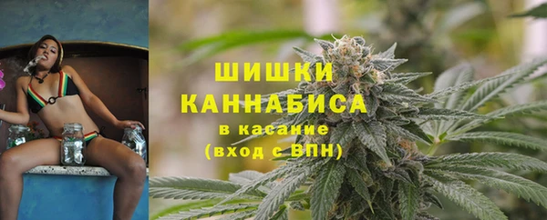 сатива Арсеньев