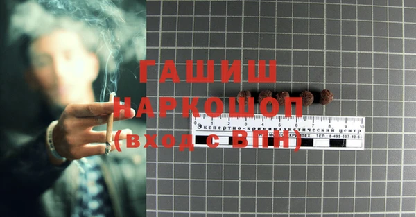 хмурый Аркадак