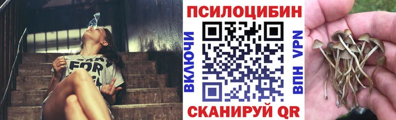 Галлюциногенные грибы MAGIC MUSHROOMS Междуреченск